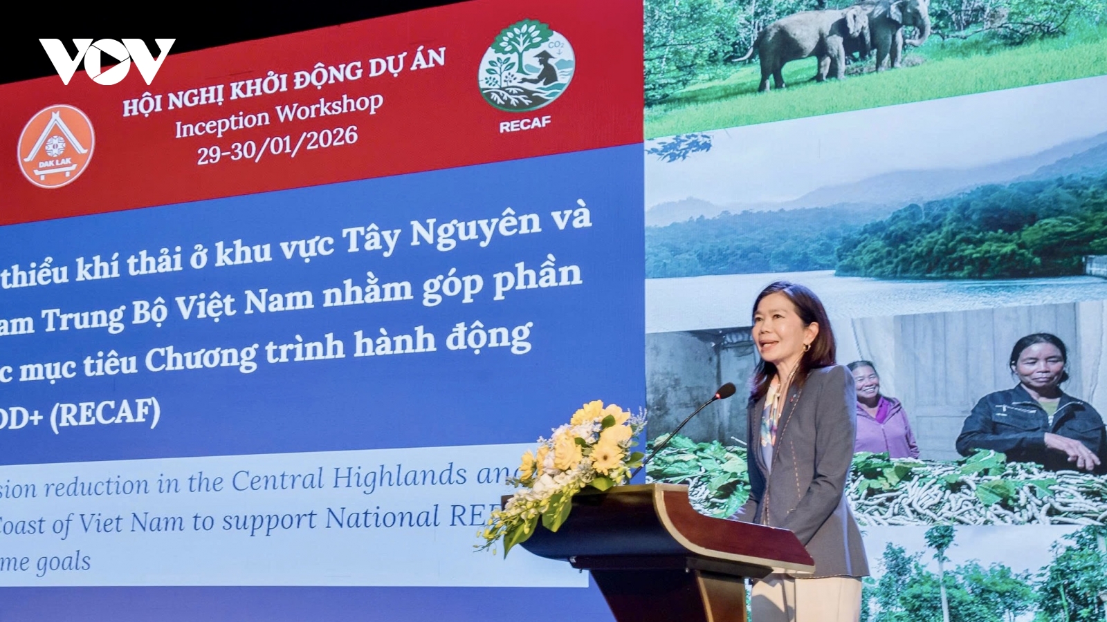 Hơn 102 triệu USD bảo vệ rừng, nâng sinh kế Tây Nguyên và Nam Trung Bộ